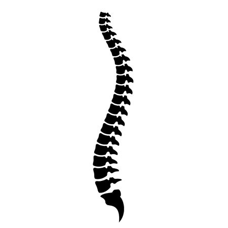 Contrast MRI Dorsal Spine